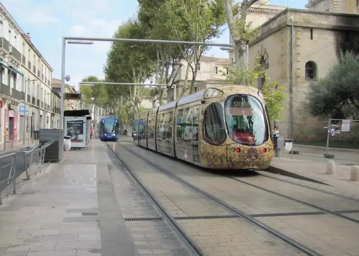 Magnifique 2 Pieces - Plein Centre - Tram 1 Min